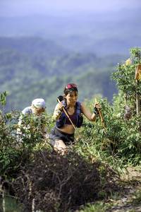 BIB: 
                            <button type="button" onclick="openModal(24768829)" class="btn btn-primary btn-sm float-right btn-popup" data-toggle="modal" data-target=".modal-high-quality">
                        <i class="fas fa-shopping-cart"></i> Add to Cart
                    </button>
                                            <button type="button" onclick="isThisMe(24768829, true)" class="btn btn-success btn-sm float-right btn-popup btn-isme hidden" data-toggle="tooltip" data-placement="bottom" title="นี่คือรูปของคุณใช่ไหม คลิกที่นี่เพื่อเอาเข้าอัลบั้ม">
                        <i class="fas fa-plus"></i> Add to album
                    </button>
                    <button type="button" onclick="isThisMe(24768829, false)" class="btn btn-warning btn-sm float-right btn-popup btn-isnotme hidden">
                        <i class="fas fa-ban"></i> Remove from album
                    </button>